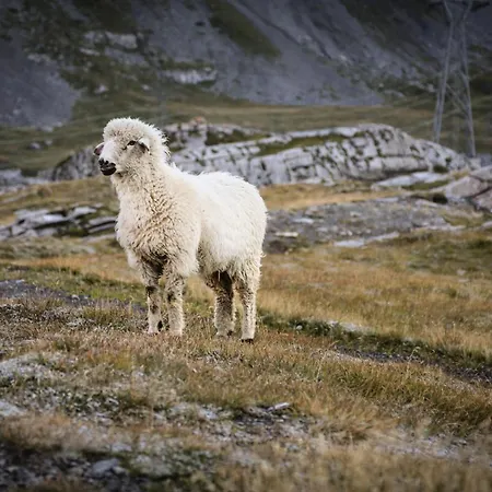 Valere C 211 Lejlighed Leukerbad